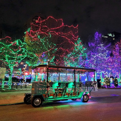 Holiday Lights Trolley Tour
