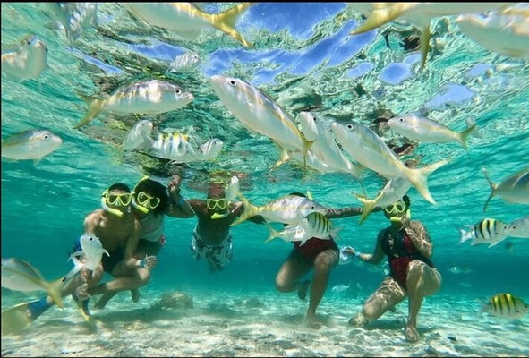 Island Snorkeling and Scenic Tour