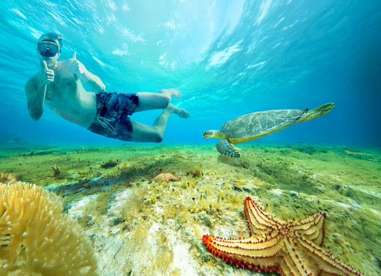 El Cielo Snorkel, KUZÁ Day Pass, Buffet, and Open Bar