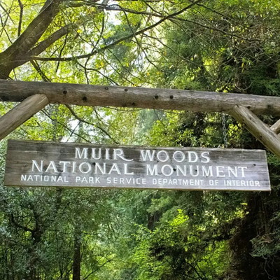 Alcatraz Tour with Muir Woods and Sausalito