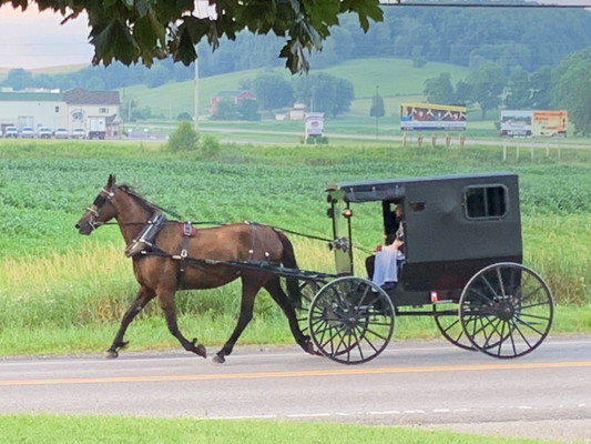 Amish Backroads Tour
