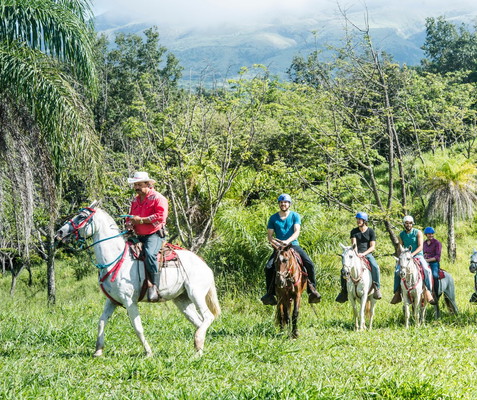 Horseback Ride to La Oropendola and Las Pailas