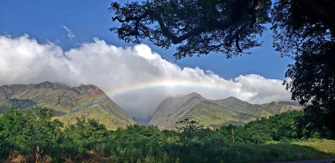 Maui Road to Hana Tour