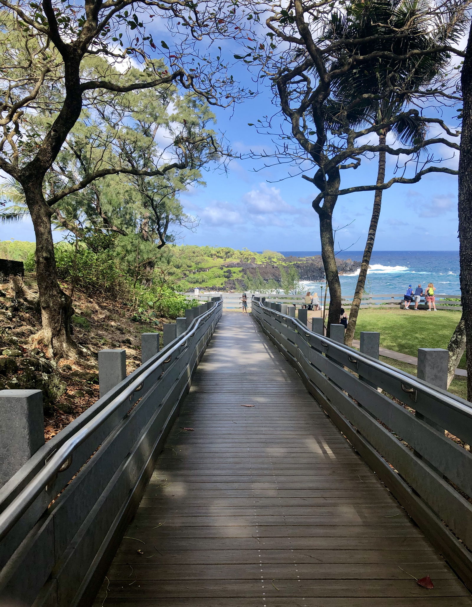 Maui Road to Hana Tour