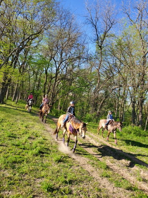 Private One-Hour Guided Horseback Trail Ride