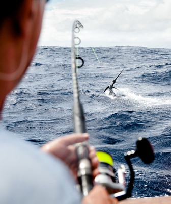 Deep Sea Fishing Charter