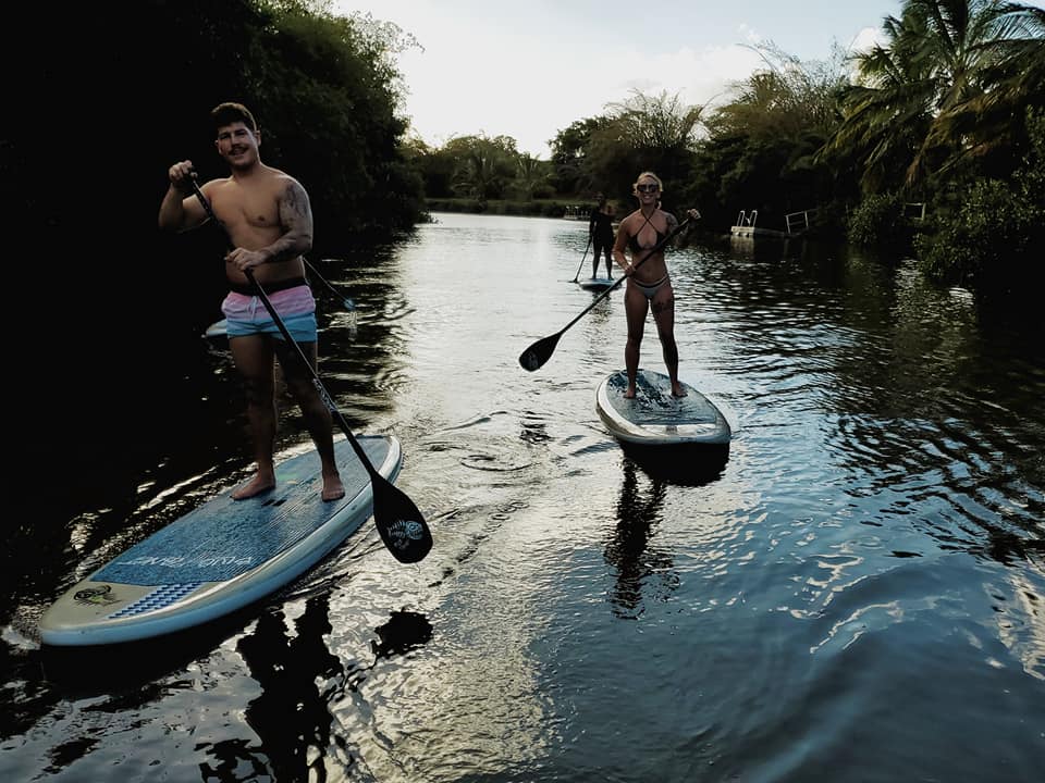 Oahu, Hawaii Turtle Tour