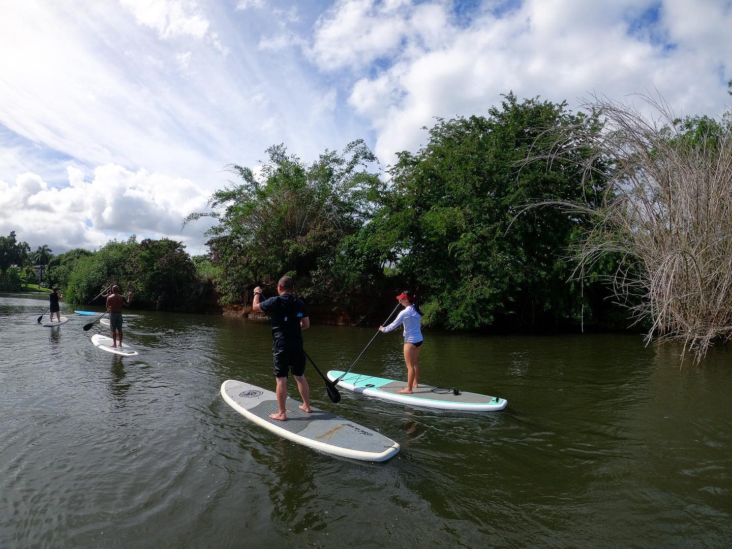 Oahu, Hawaii Turtle Tour