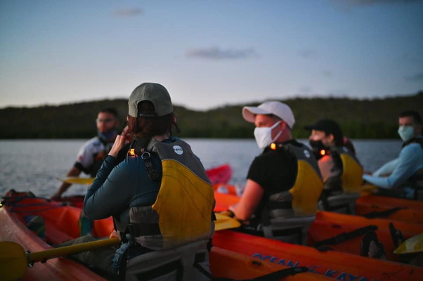 Bioluminescent Bay Kayak Adventure