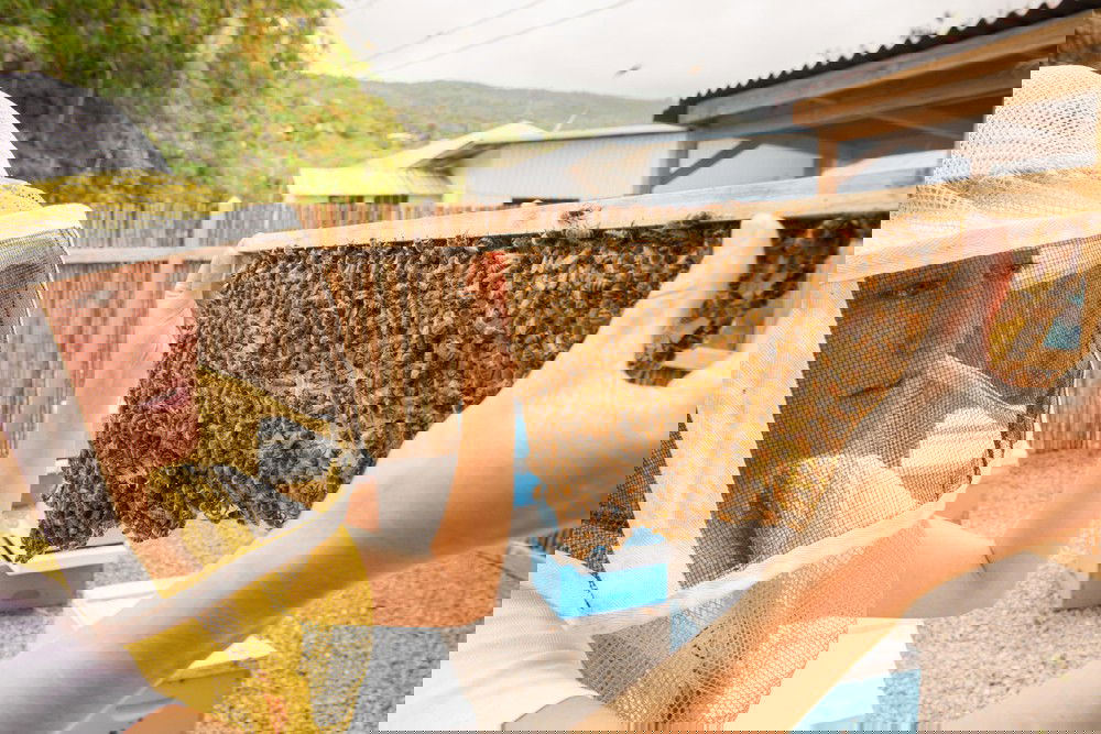 Big Island Beekeeping