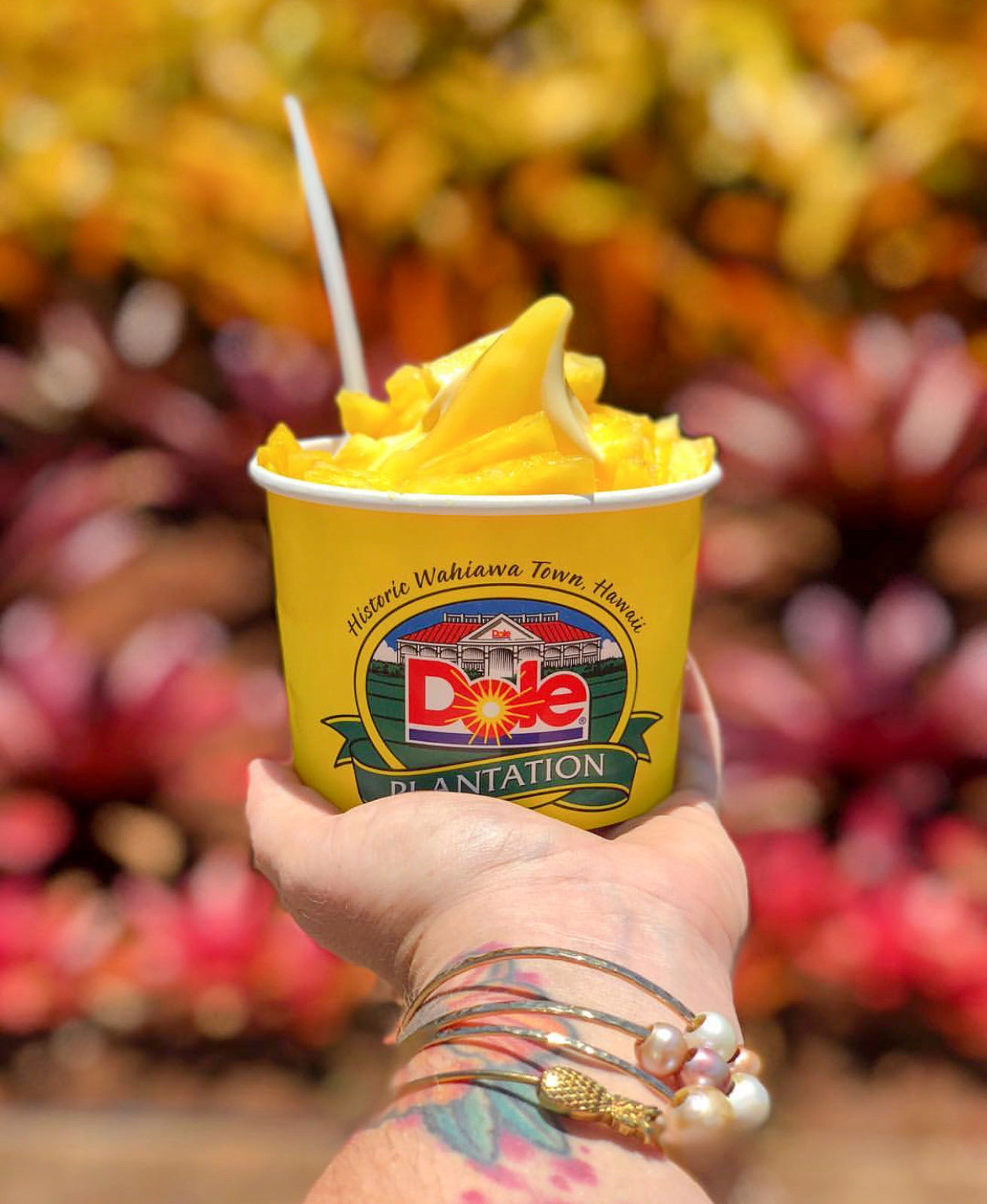 Oahu Sites and Bites Food Tour