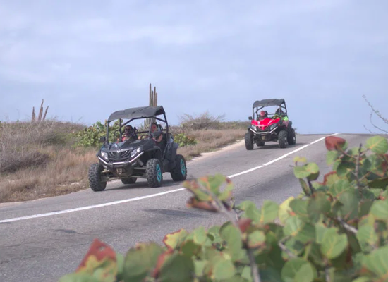 Art, Facts, and Baby Beach UTV Tour