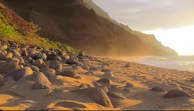 Kauai Half-Day Hiking Tour