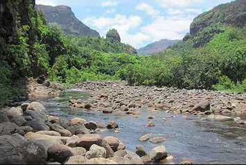 Kauai Half-Day Hiking Tour