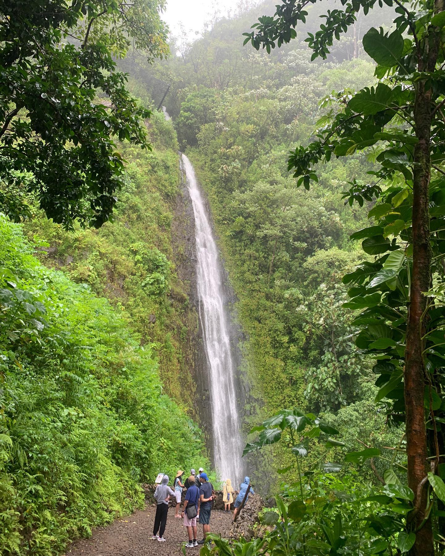 Oahu Waterfall Hike