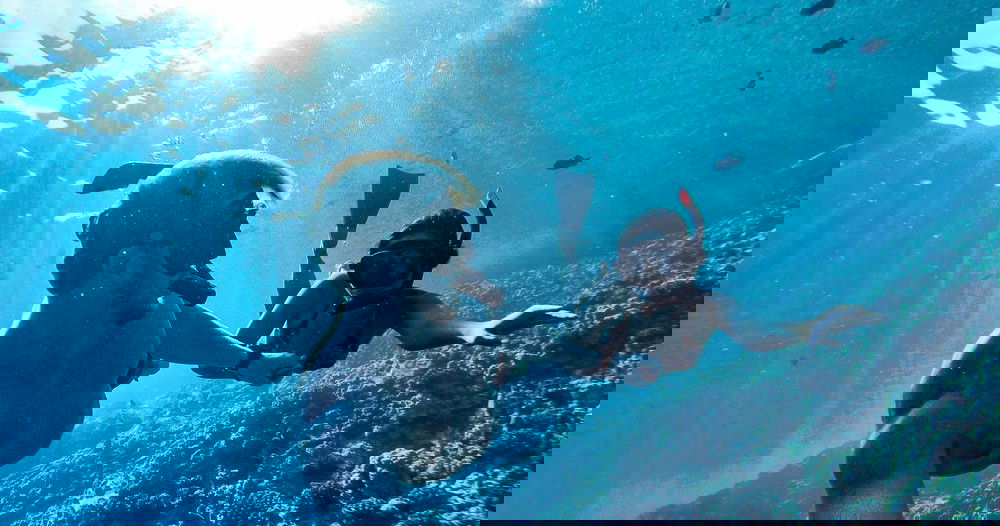 Maui Whale Watching and Snorkeling