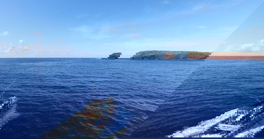 Maui Whale Watching and Snorkeling