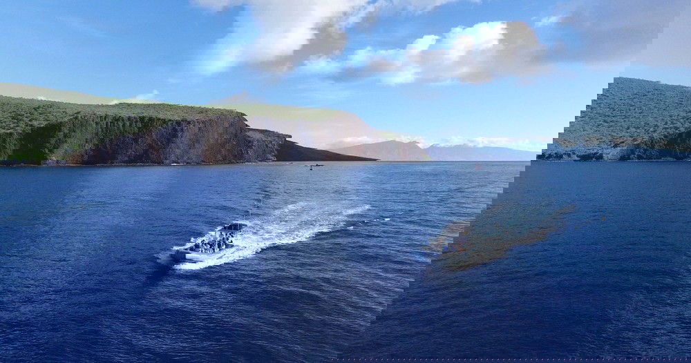 Maui Whale Watching and Snorkeling