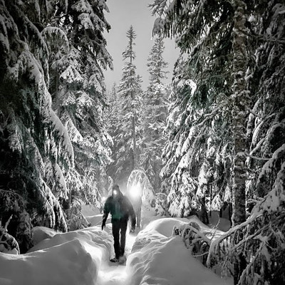 Moonlight Snowshoe