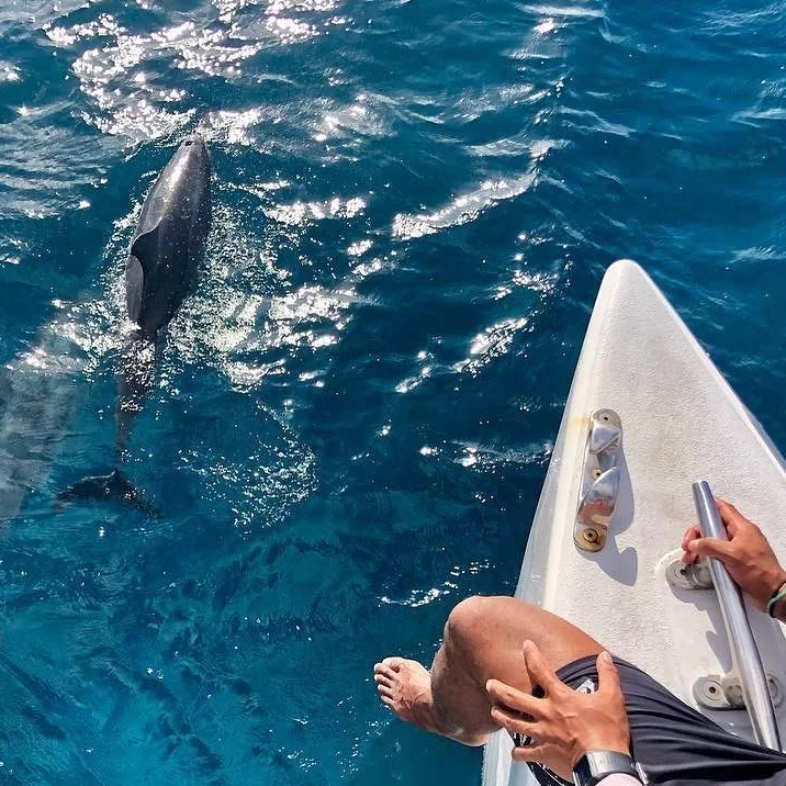 Waikiki Catamaran Cruise