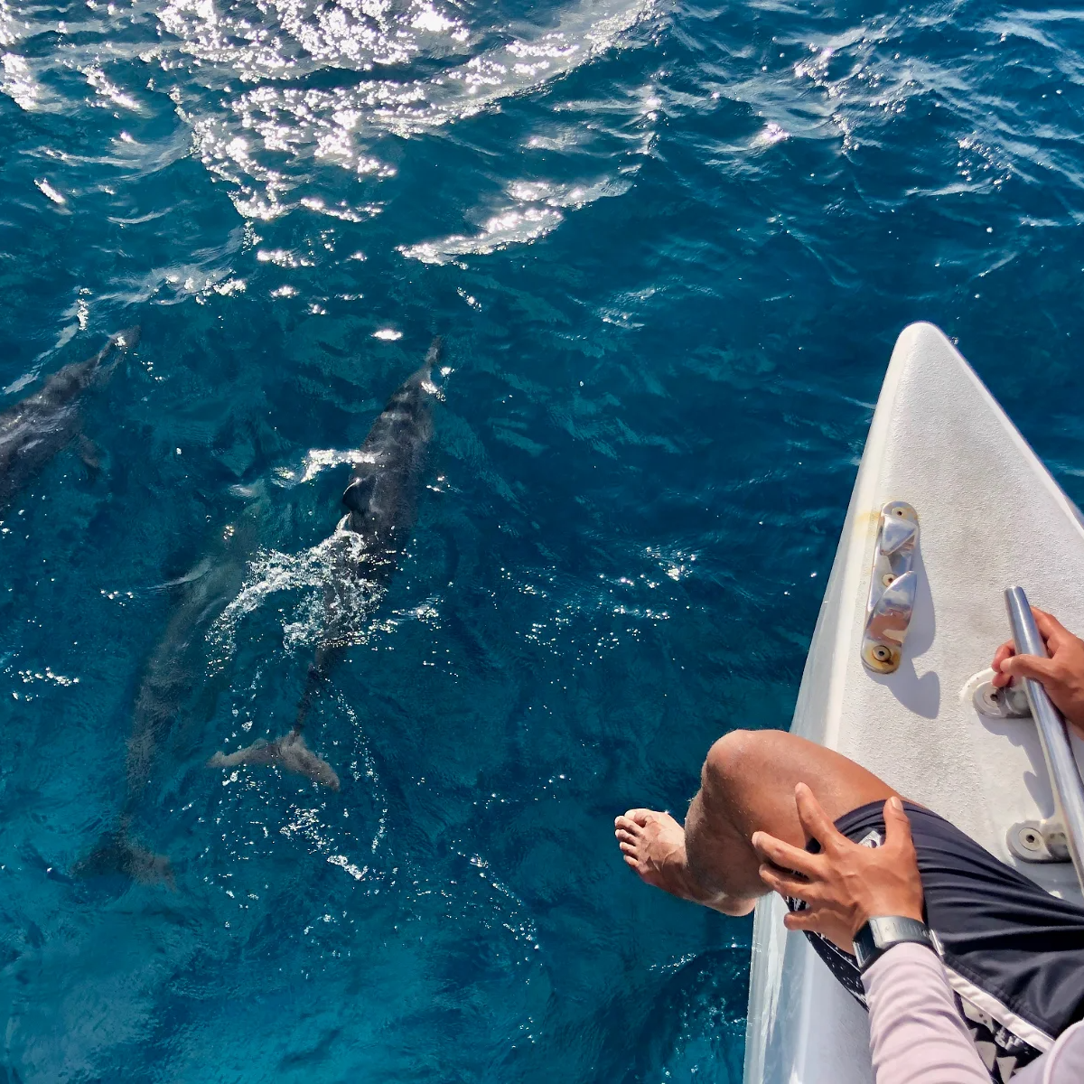 Go Oahu 3-Day All-Inclusive Pass