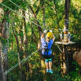 Big Island Zip Line Tour