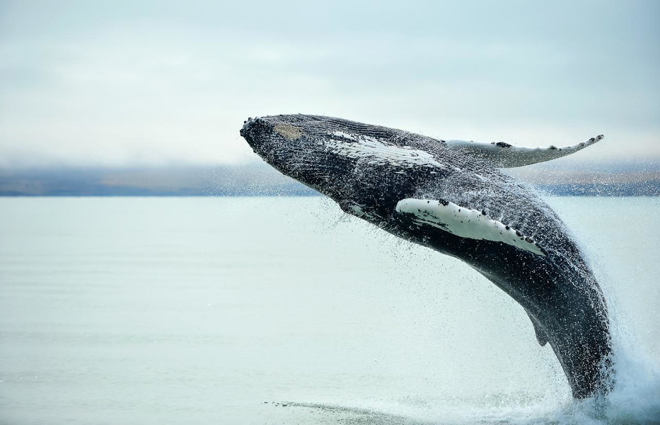 Experience Image