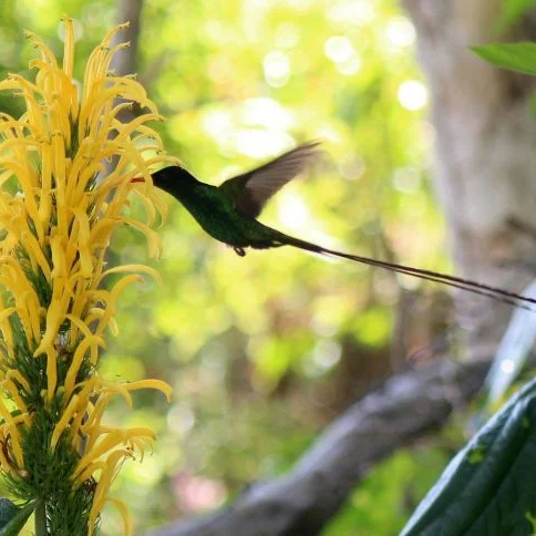 Experience Image