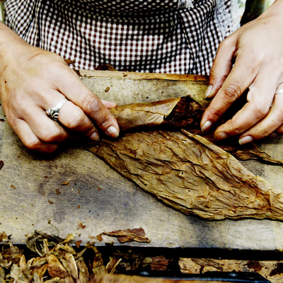 Graycliff Cigar Rolling Lesson