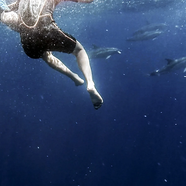 Experience Image