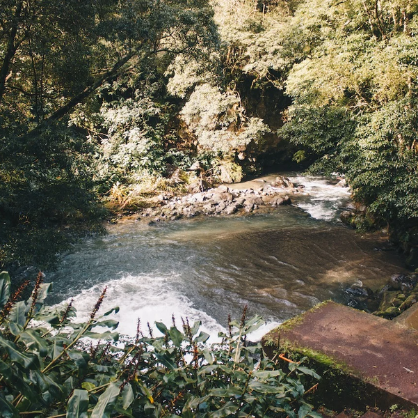 Experience Image