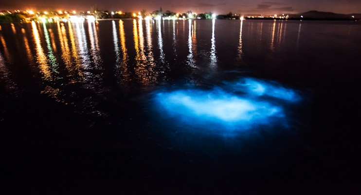Private Blue Hole Falls and Luminous Lagoon Tour