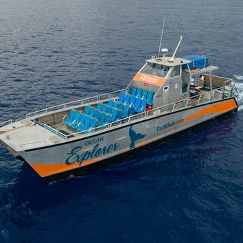 Best Snorkeling in Maui