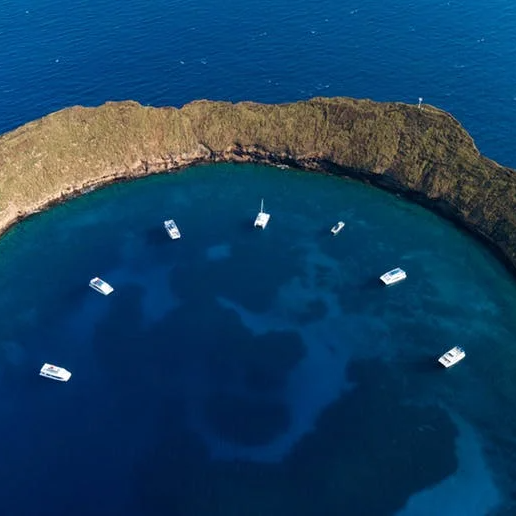 Best Snorkeling in Maui
