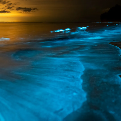 Private Luminous Lagoon from Ocho Rios