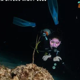 Experience Image