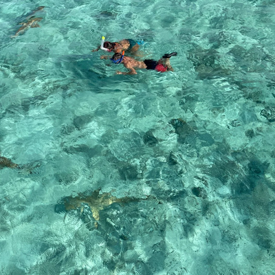 Half Day Lagoon Shared Tour