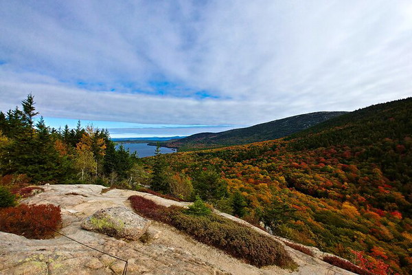 Acadia Small-Group Day Tour