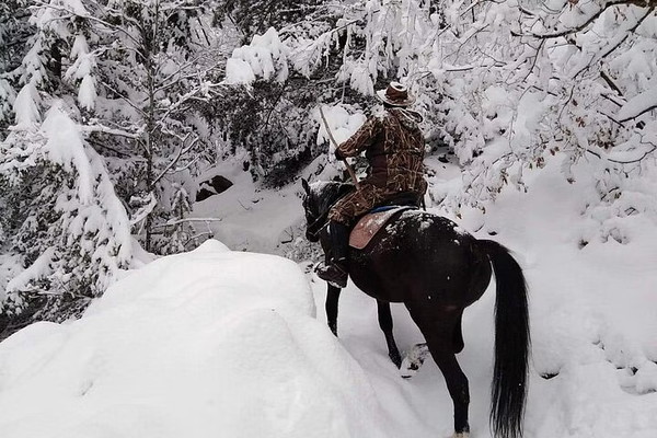 One-Hour Waterfalls Canyon Private Horse Riding in Smolyan