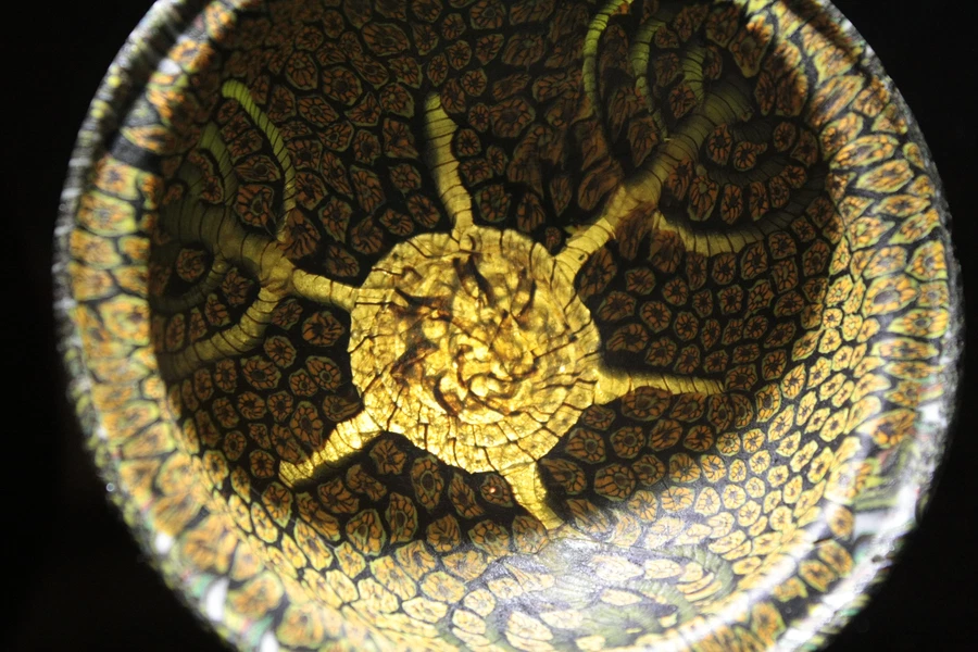 Experience Image