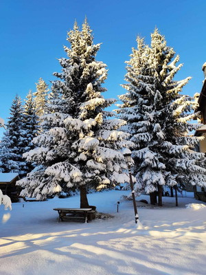 Private Snowshoeing in Vitosha for One Day