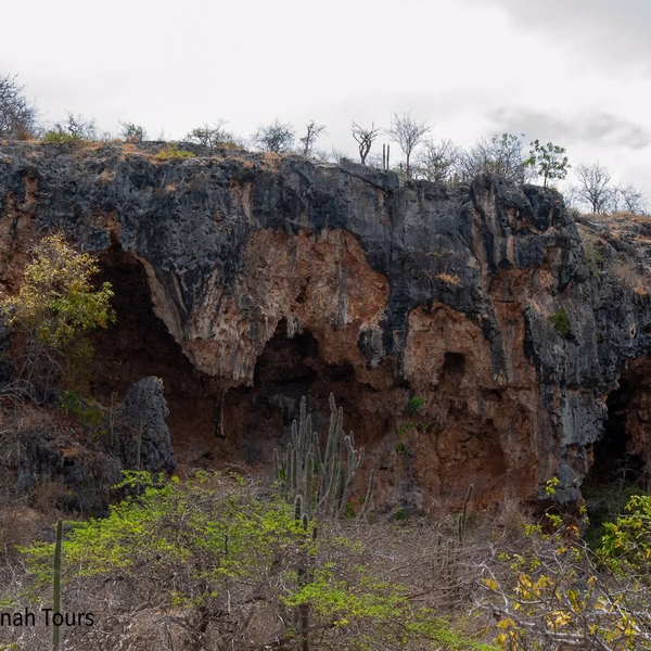 Experience Image
