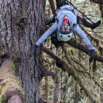 Half-Day Tree Climbing Adventure
