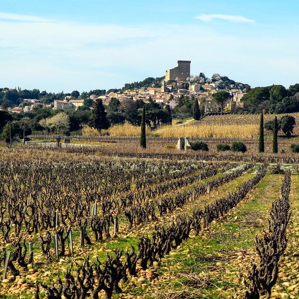 Discove historic Avignon and the Vineyards of Châteauneuf du Pape