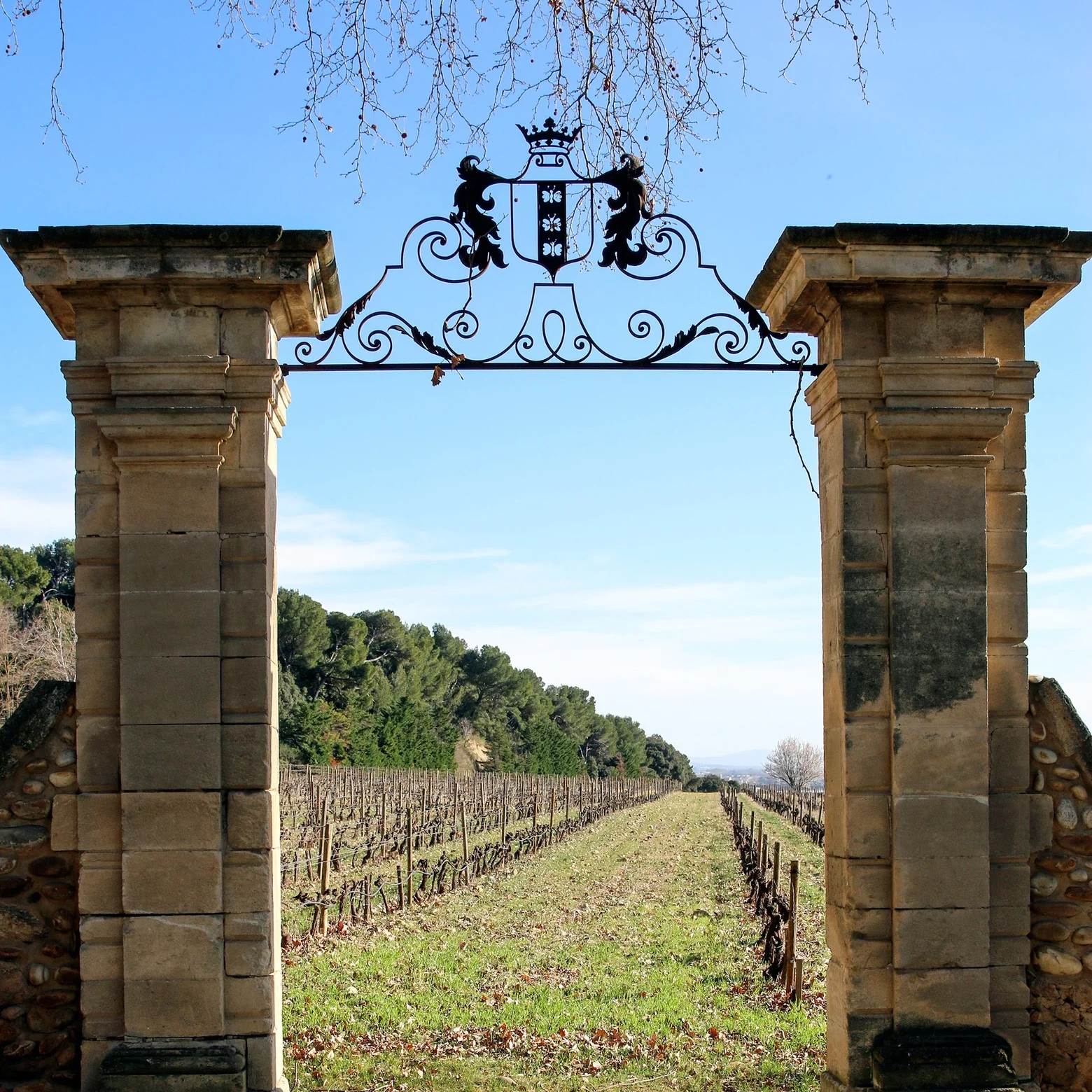 Intensive Vineyard Tour of Châteauneuf du Pape and the Rhône valley