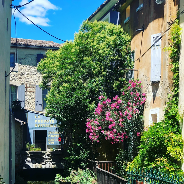 L'Isle sur la Sorgue French brocante and the City of Avignon