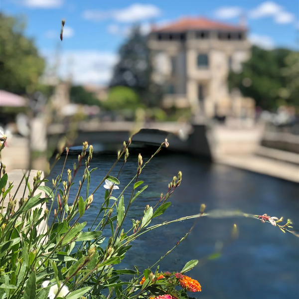 L'Isle sur la Sorgue French brocante and the City of Avignon