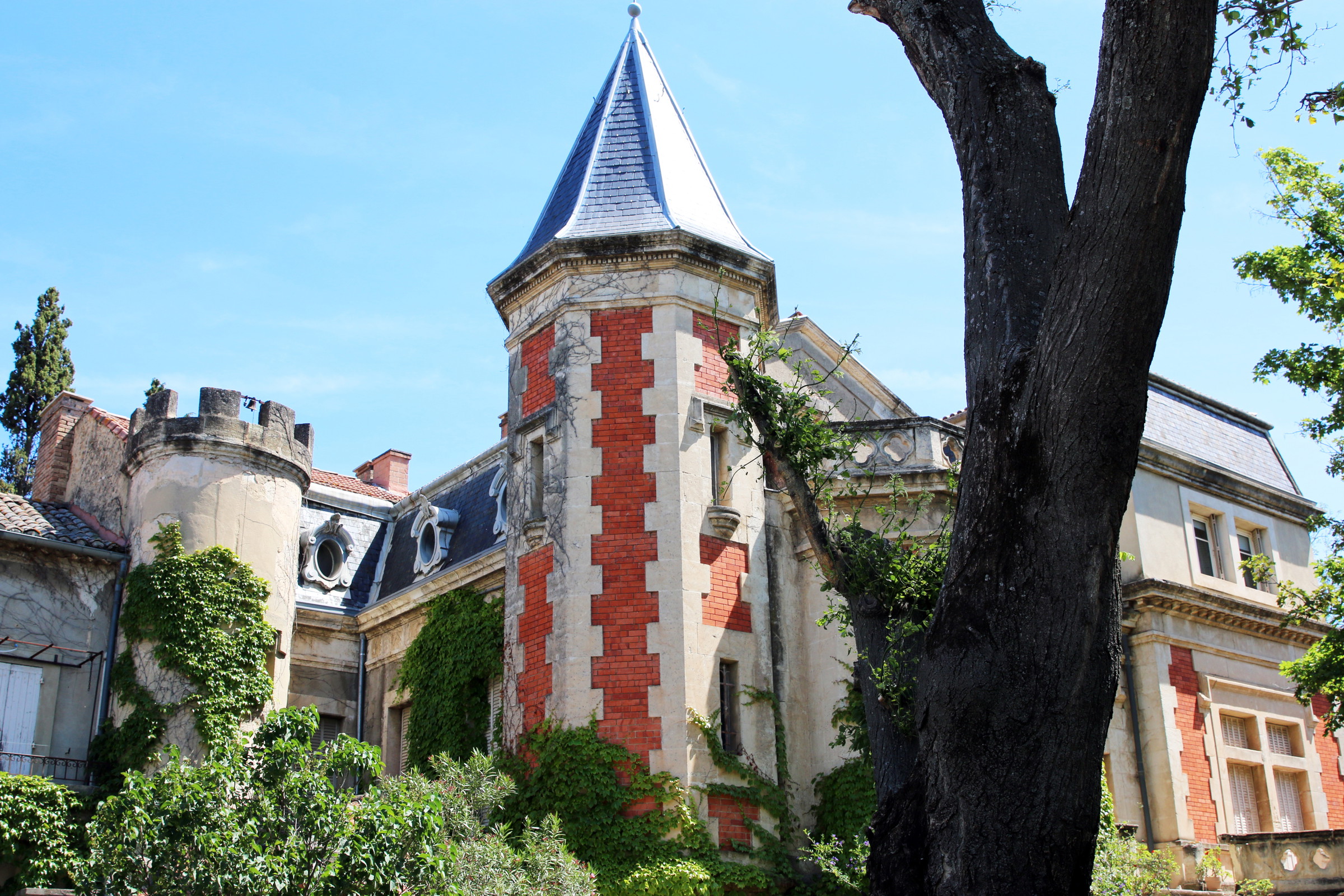 Discove historic Avignon and the Vineyards of Châteauneuf du Pape