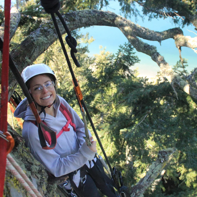 Introduction to Tree Canopy Climbing