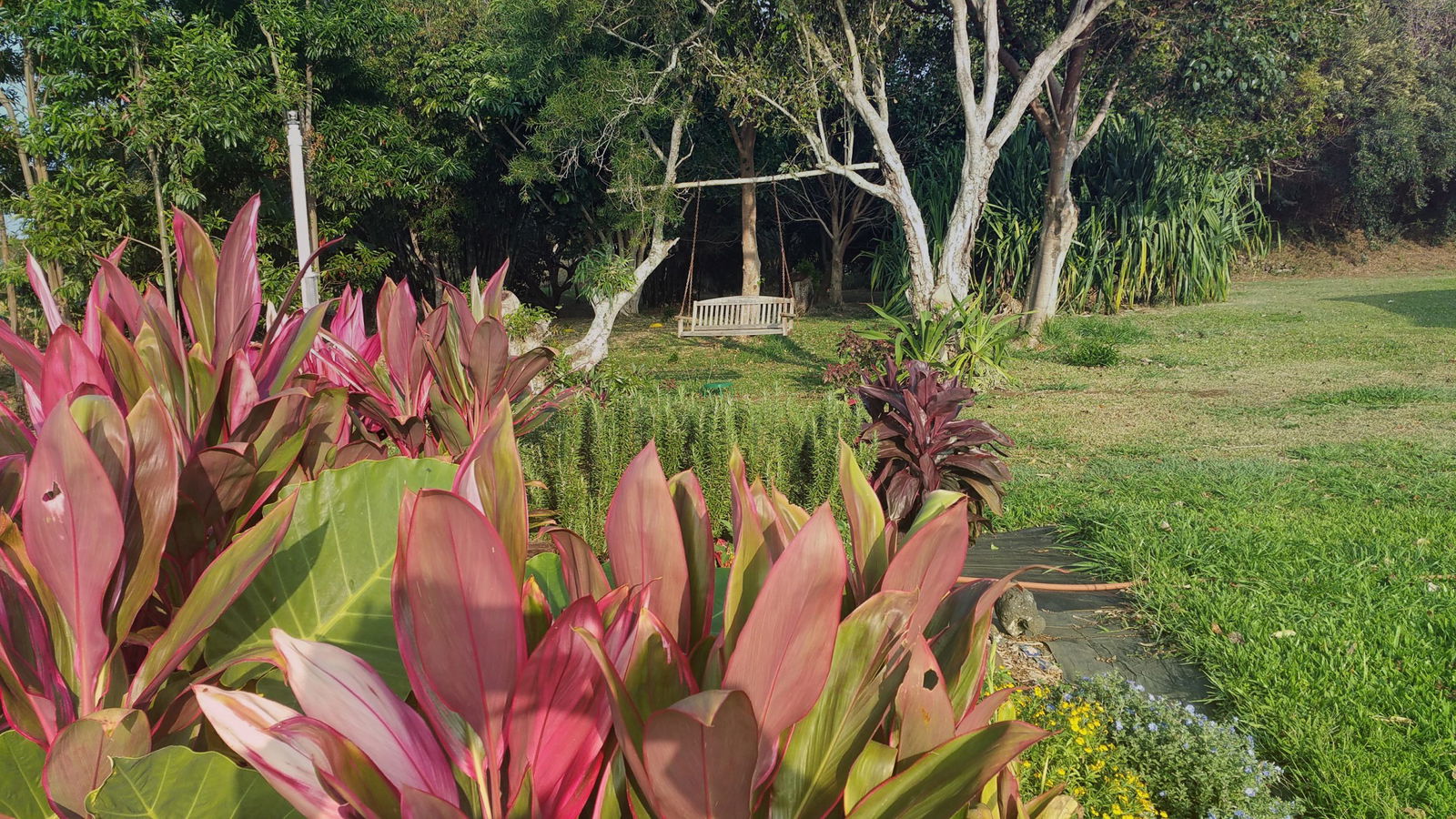 Hawaii Couple's Massage (Hawi)